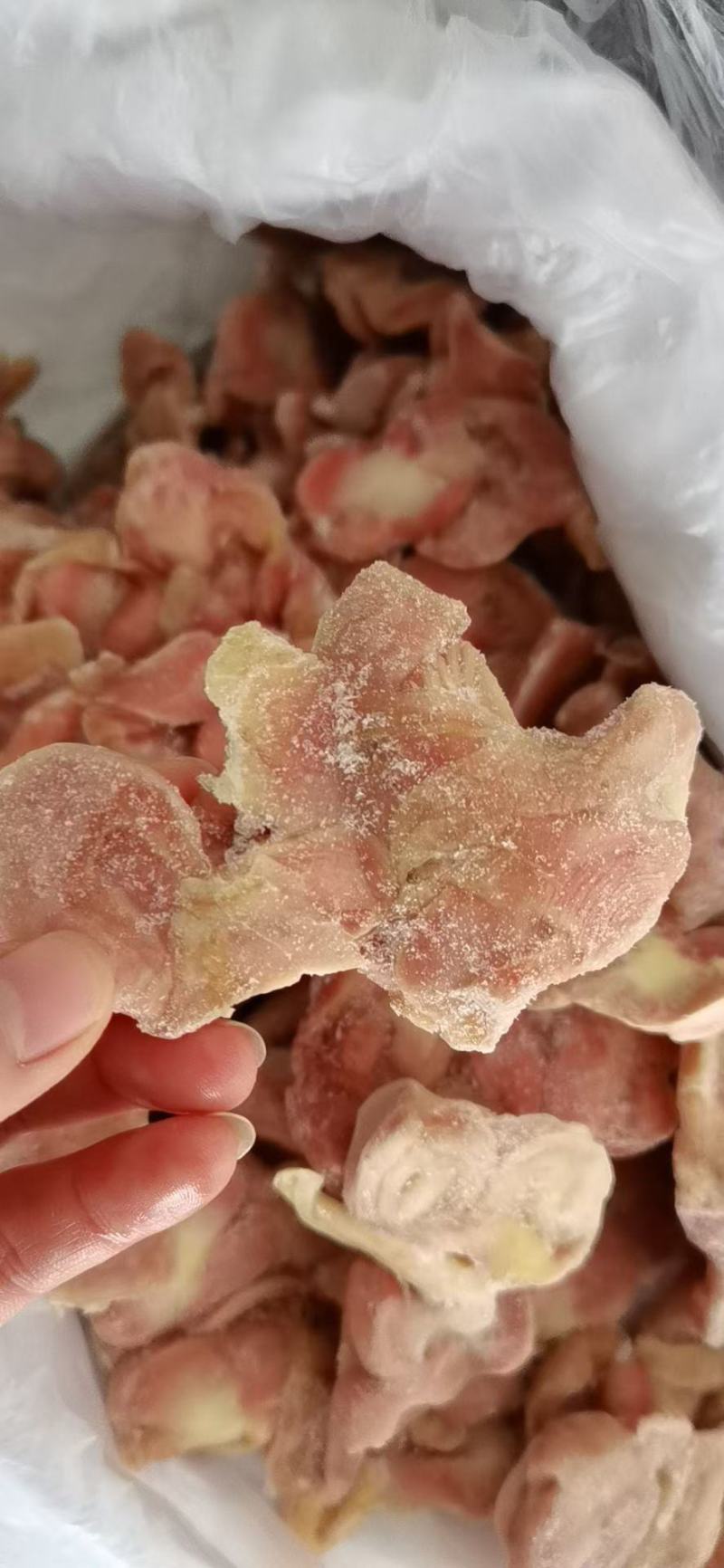 三黄鸡带肚鸡胗