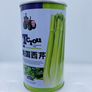 常丰美国西芹种子罐装大田菜地农户高产蔬菜易种植芹菜籽脆