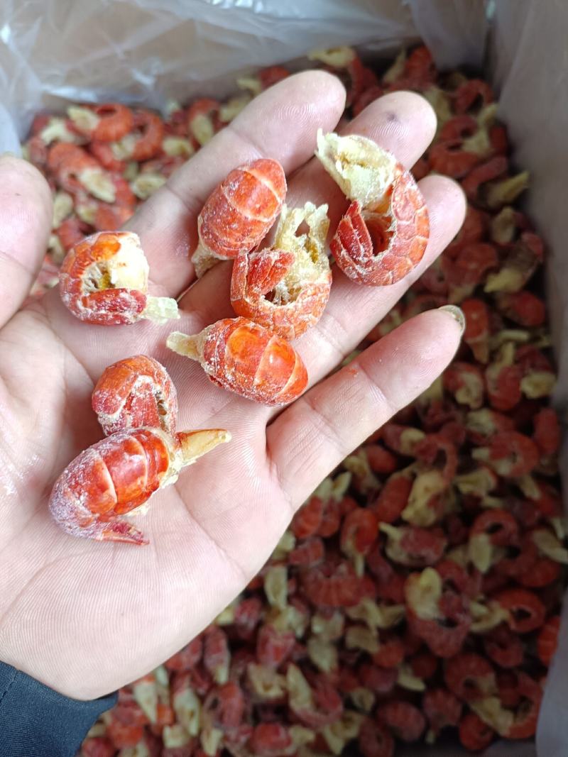龙虾尾，无冰衣龙虾尾，干冰龙虾尾，龙虾尾原料。厂家直销