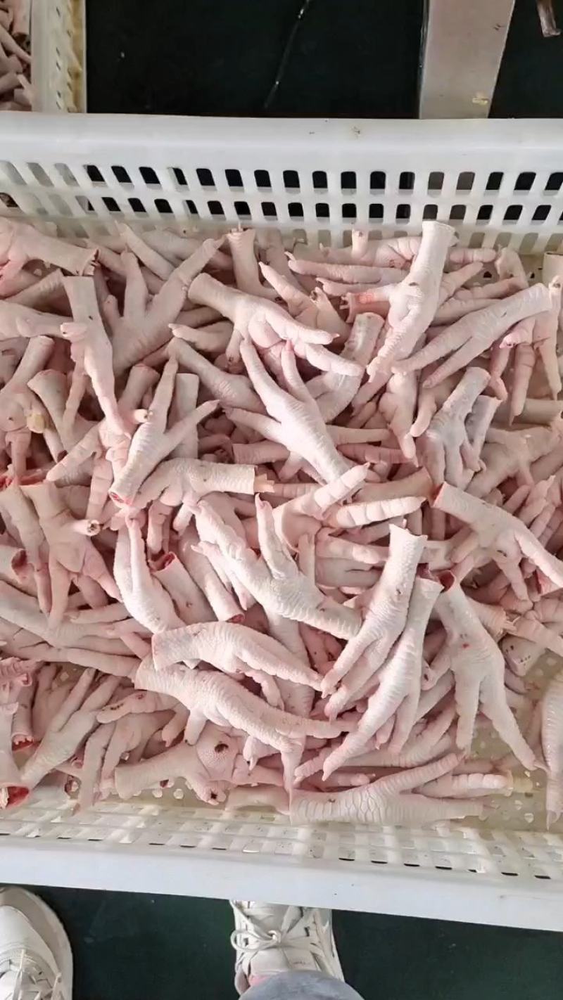 山东鸡副产品凤爪鸡爪特价出售国产一级佳味食品量大从优