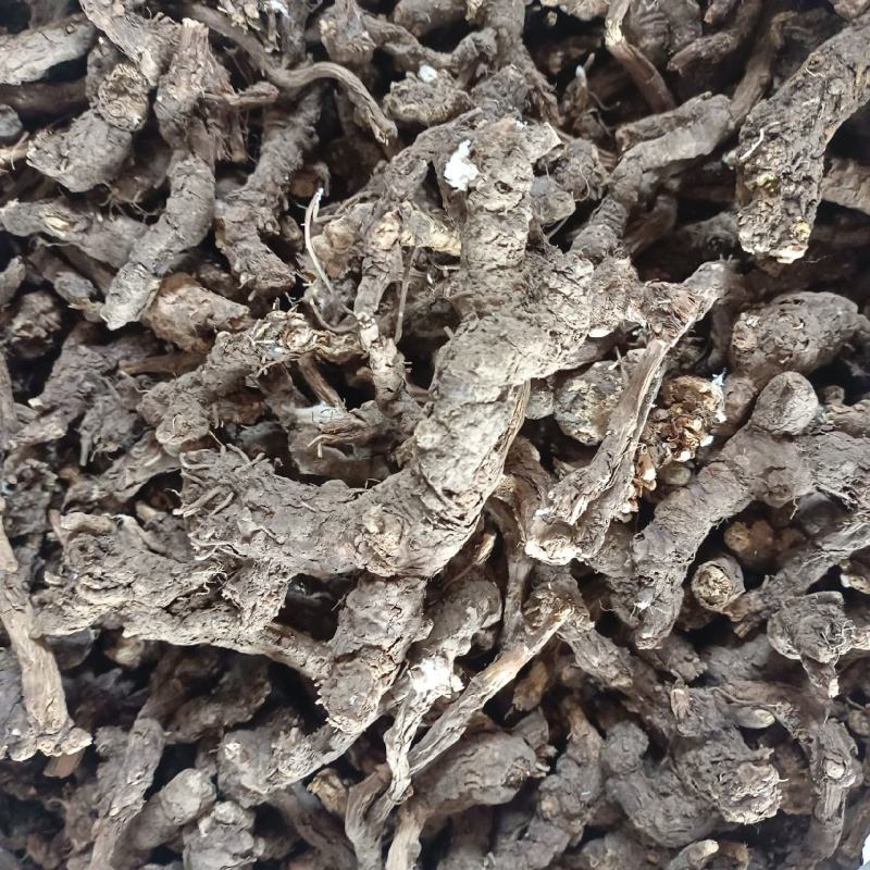 内蒙古朱砂点苍术产地直发量大优惠足斤足量欢迎下单！