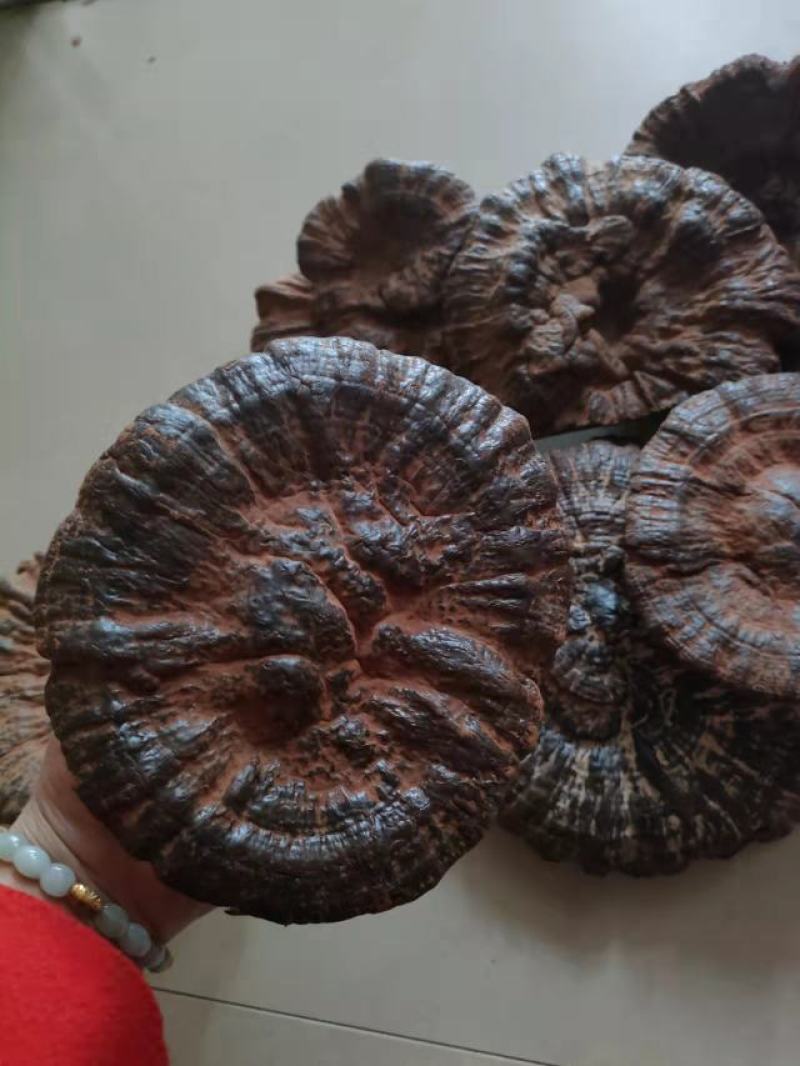 中草药