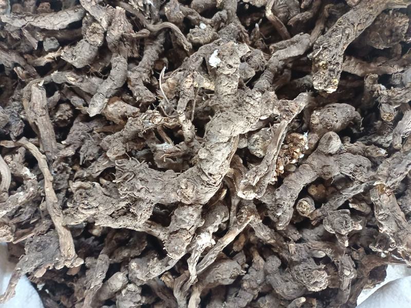 内蒙古朱砂点苍术产地直发量大优惠足斤足量欢迎下单！