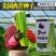 脆嫩空心芹菜种子耐热纤维少香味浓春季夏秋季四季腌渍香芹菜