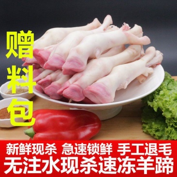 新鲜生羊蹄冷冻羊脚蹄小羊蹄带筋羊蹄筋羊排羊杂羊肉山羊蹄子