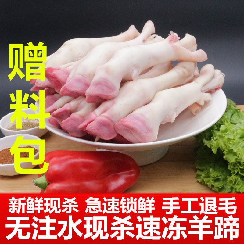 新鲜生羊蹄冷冻羊脚蹄小羊蹄带筋羊蹄筋羊排羊杂羊肉山羊蹄子