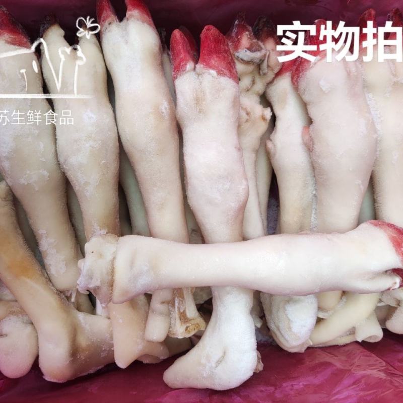 新鲜生羊蹄冷冻羊脚蹄小羊蹄带筋羊蹄筋羊排羊杂羊肉山羊蹄子