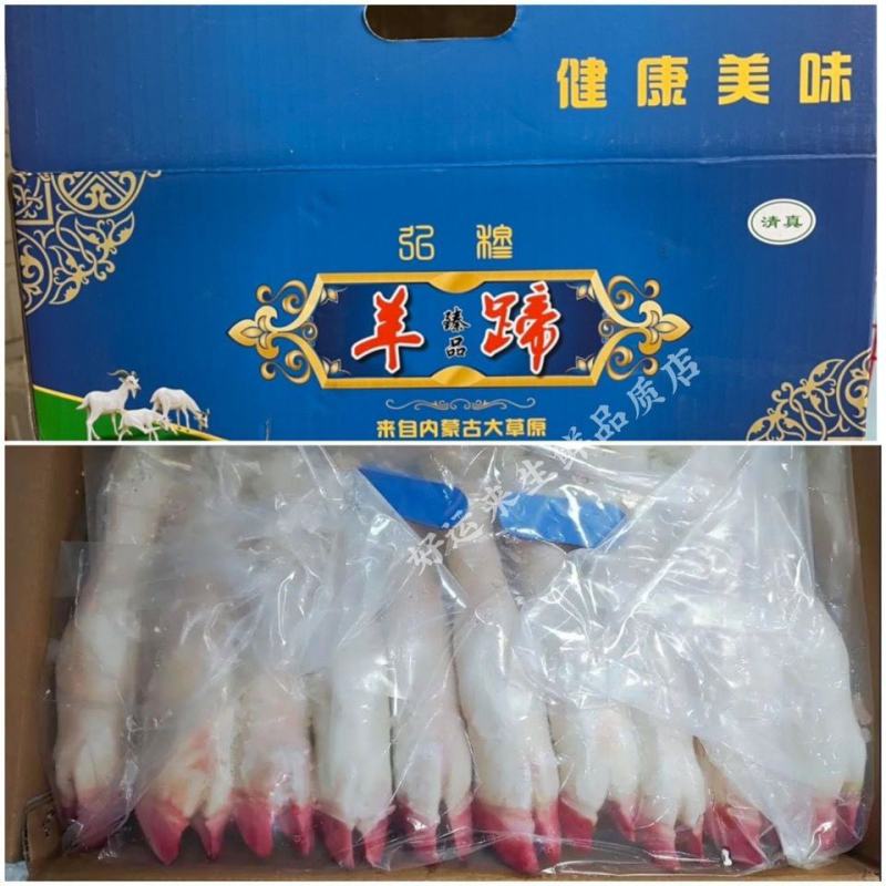 新鲜生羊蹄冷冻羊脚蹄小羊蹄带筋羊蹄筋羊排羊杂羊肉山羊蹄子