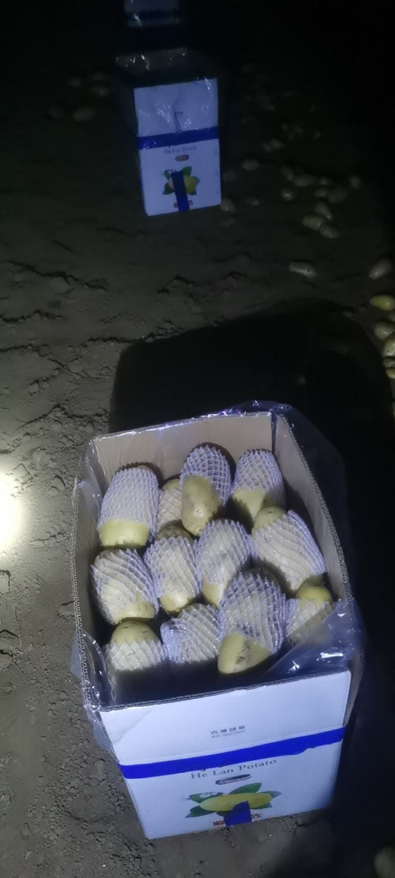 滕州三膜土豆大量上市，支持各种包装，啥规格都有