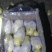 滕州三膜土豆大量上市，支持各种包装，啥规格都有