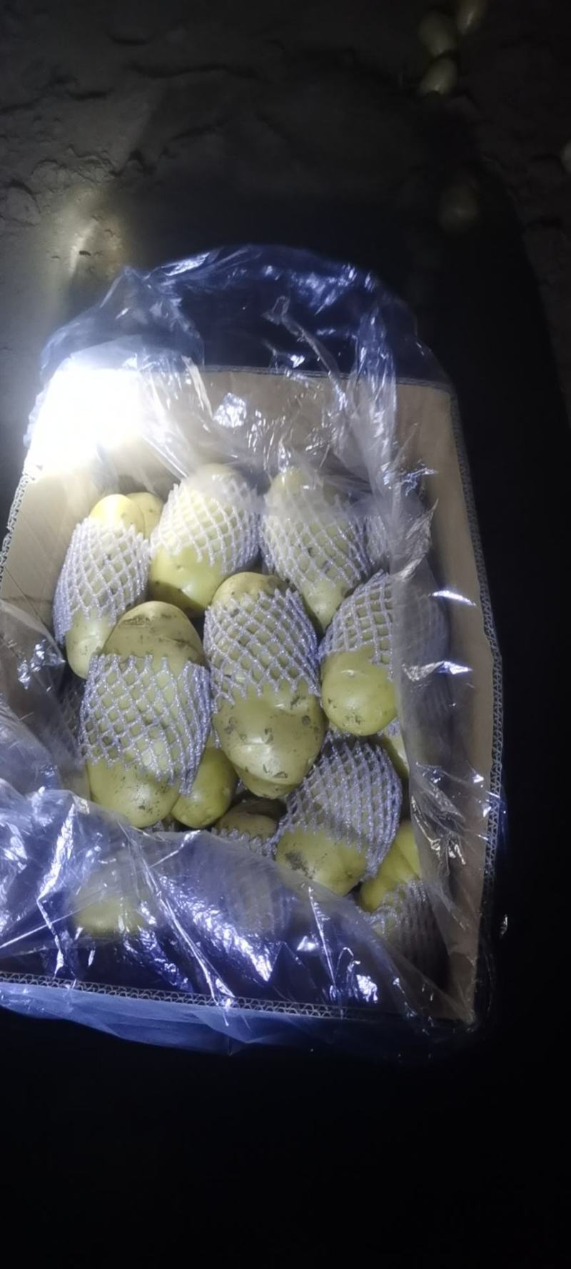 滕州三膜土豆大量上市，支持各种包装，啥规格都有