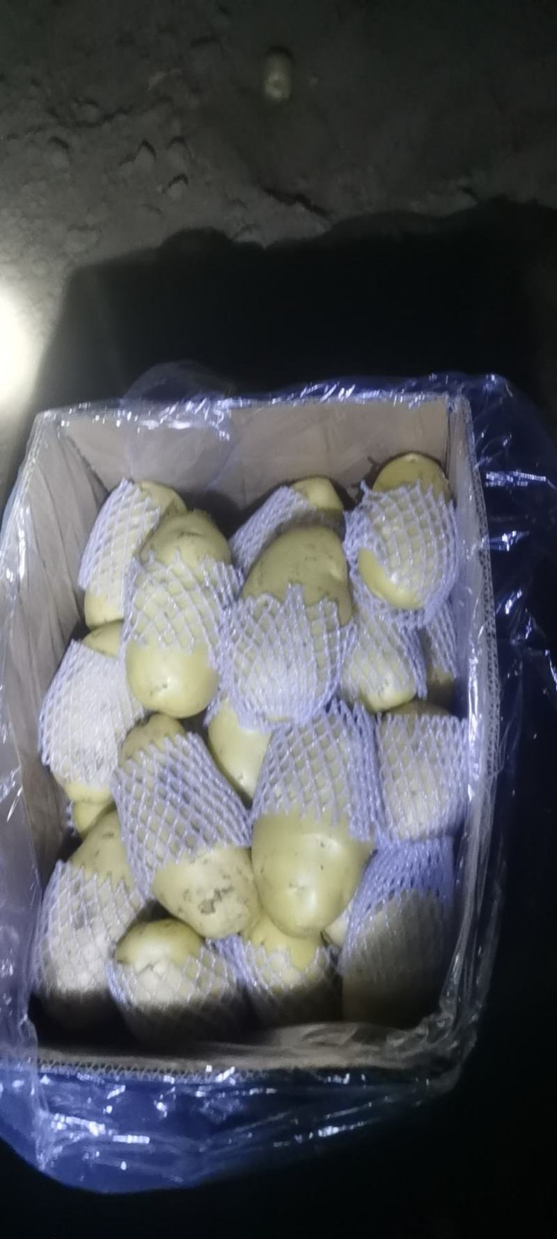 滕州三膜土豆大量上市，支持各种包装，啥规格都有