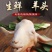 羊头整只生新鲜带皮羊头肉鲜羊脸肉山羊头羊蹄羊杂包邮商用批