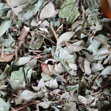 野生假地豆假花生假番豆异叶山蚂蟥无硫干品