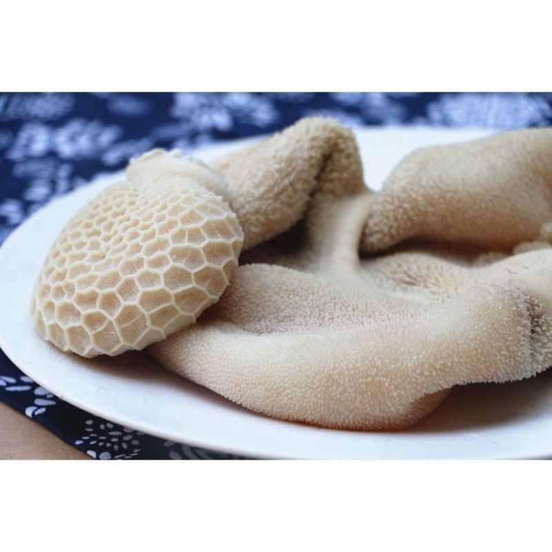 水发羊肚整块羊肚5斤餐饮专用商用串串冒菜火锅食材羊