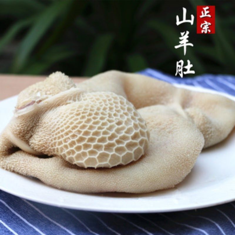 水发羊肚整块羊肚5斤餐饮专用商用串串冒菜火锅食材羊