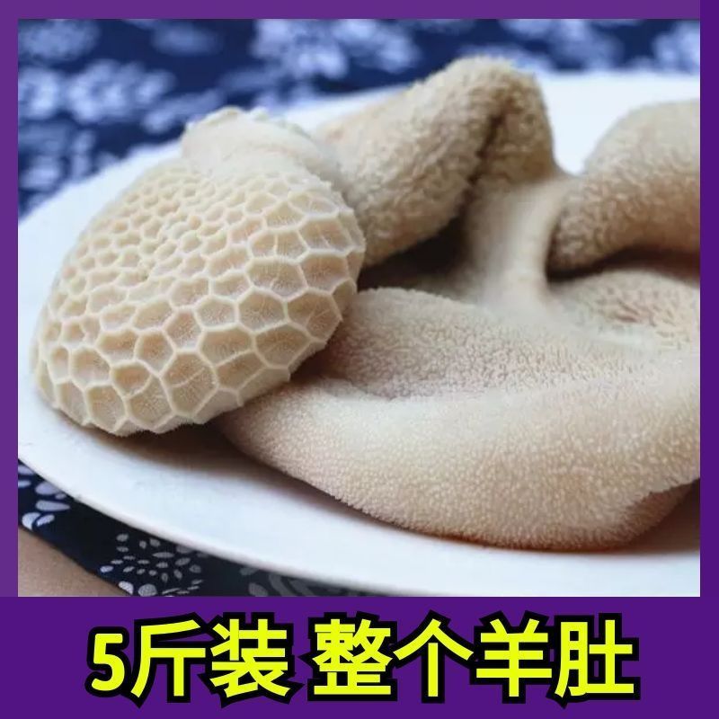 商用半熟羊肚鲜全整个羊肚冻羊毛肚整个羊肚新鲜羊杂纯羊肚
