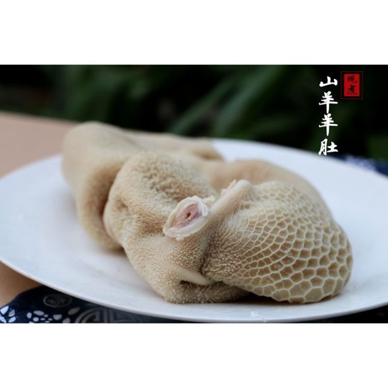 商用半熟羊肚鲜全整个羊肚冻羊毛肚整个羊肚新鲜羊杂纯羊肚