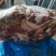 90比例牛前肉