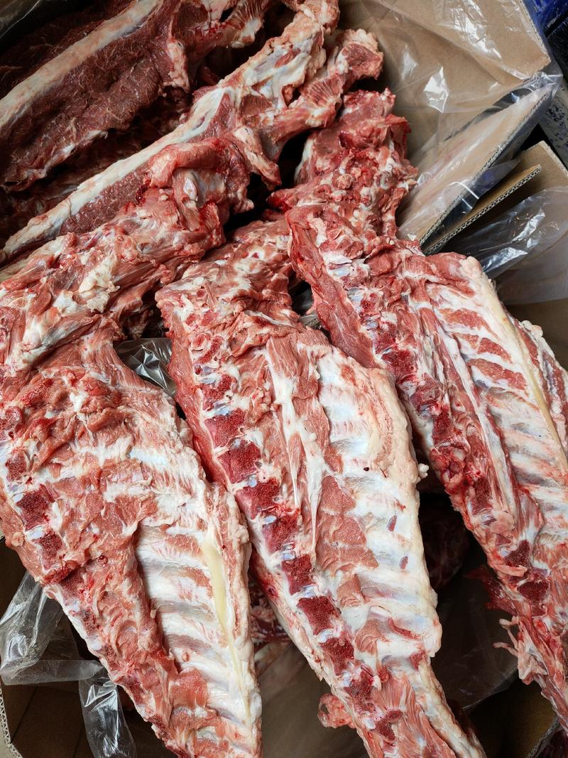 糕羊加肉羊蝎子大量供应厂家直供质量保证量大优惠