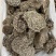 甄选蜂房山蜂房另有马蜂窝蜂巢蜂窝