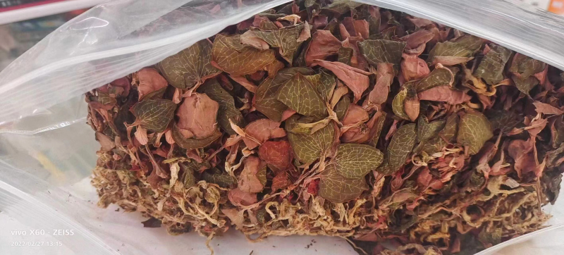 金线莲，仿野生金线莲，无碎金线莲，大叶金线莲，台湾红霞