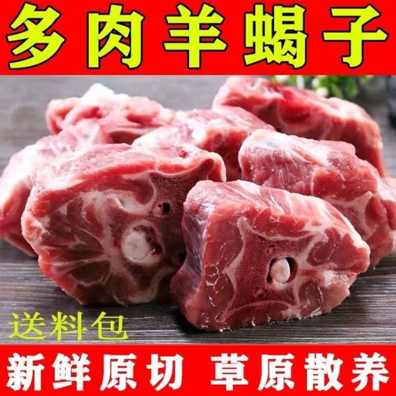 新鲜多肉羊蝎子不膻不腥带排大羊蝎批发原切现杀现卖多肉火锅