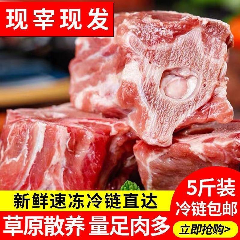 新鲜多肉羊蝎子不膻不腥带排大羊蝎批发原切现杀现卖多肉火锅