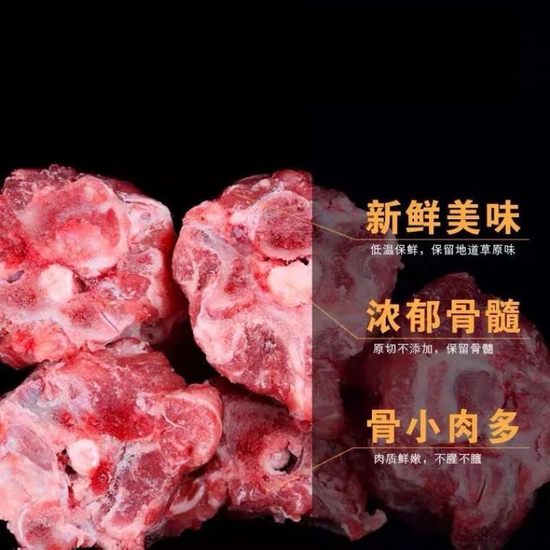 新鲜多肉羊蝎子不膻不腥带排大羊蝎批发原切现杀现卖多肉火锅