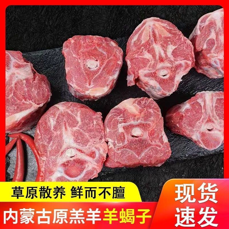 新鲜多肉羊蝎子不膻不腥带排大羊蝎批发原切现杀现卖多肉火锅
