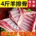 【批发价】新鲜清真全羊切块羊排尖肋排小排羊骨头商用包邮