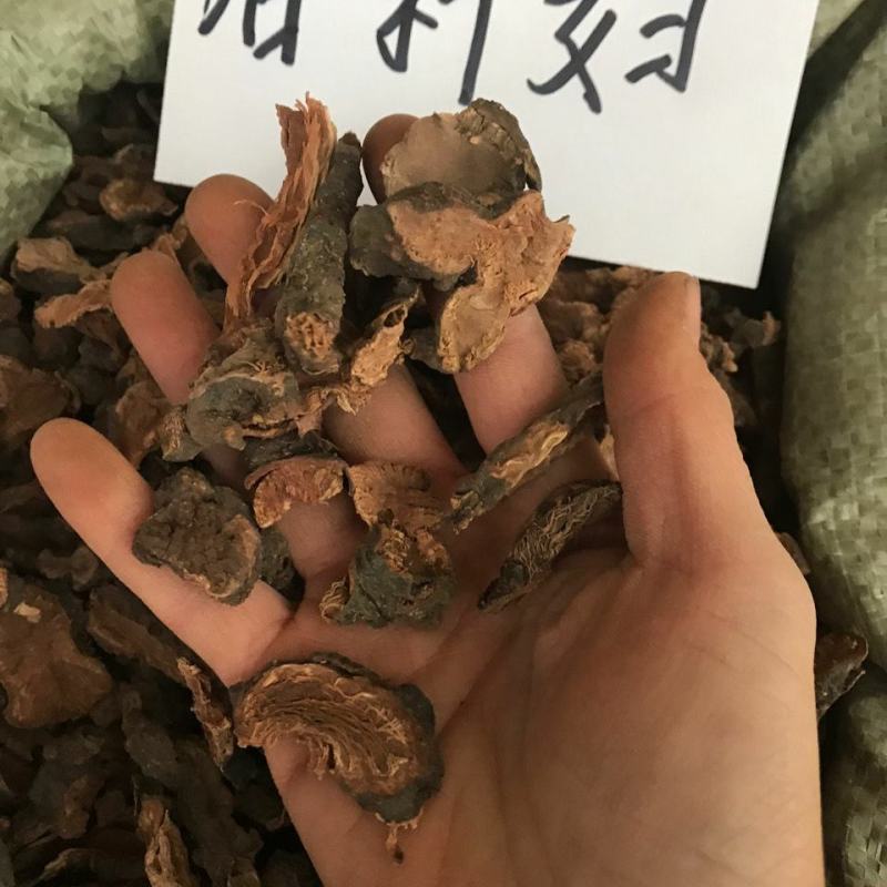 落新妇干货中药材干净无杂质量大从优欢迎选购！