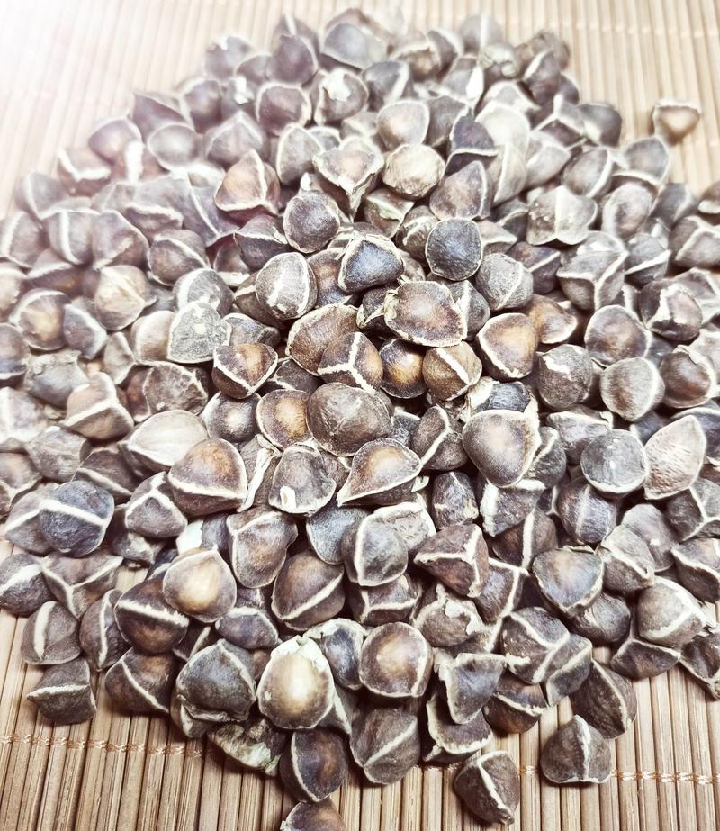 辣木籽各种养生花茶中药材批发地道药材