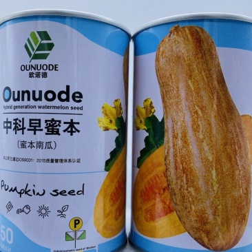 中科茂华蔬菜种子中科黑贝贝南瓜种子贝贝南瓜种子板栗味道甜