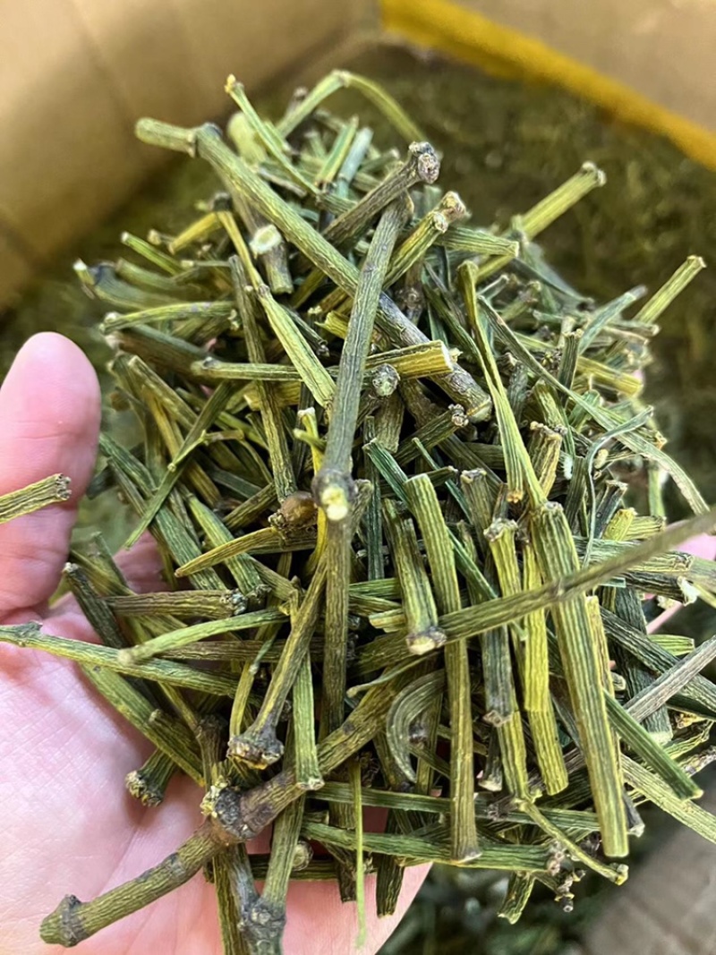 螃蟹脚，寄生，茶树螃蟹脚，颜色绿螃蟹脚，去根螃蟹脚