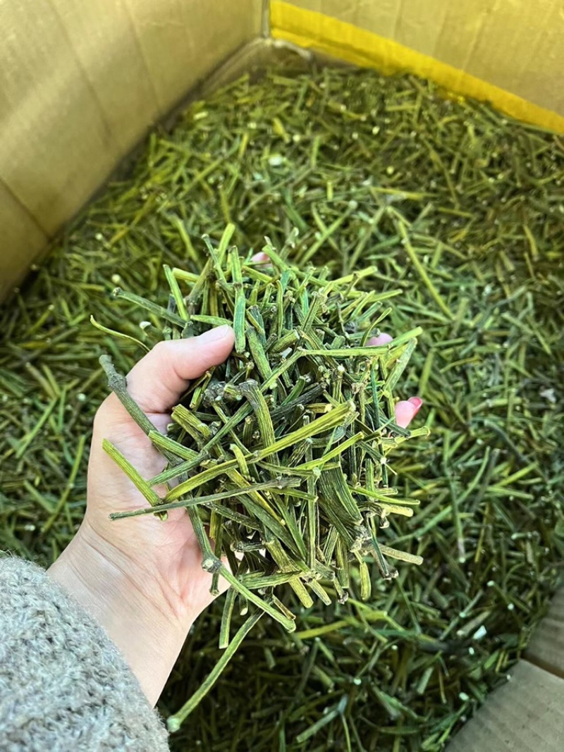 螃蟹脚，寄生，茶树螃蟹脚，颜色绿螃蟹脚，去根螃蟹脚