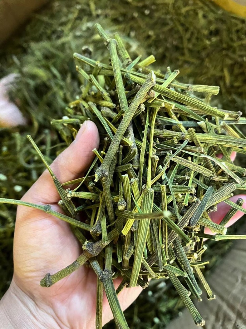 螃蟹脚，寄生，茶树螃蟹脚，颜色绿螃蟹脚，去根螃蟹脚