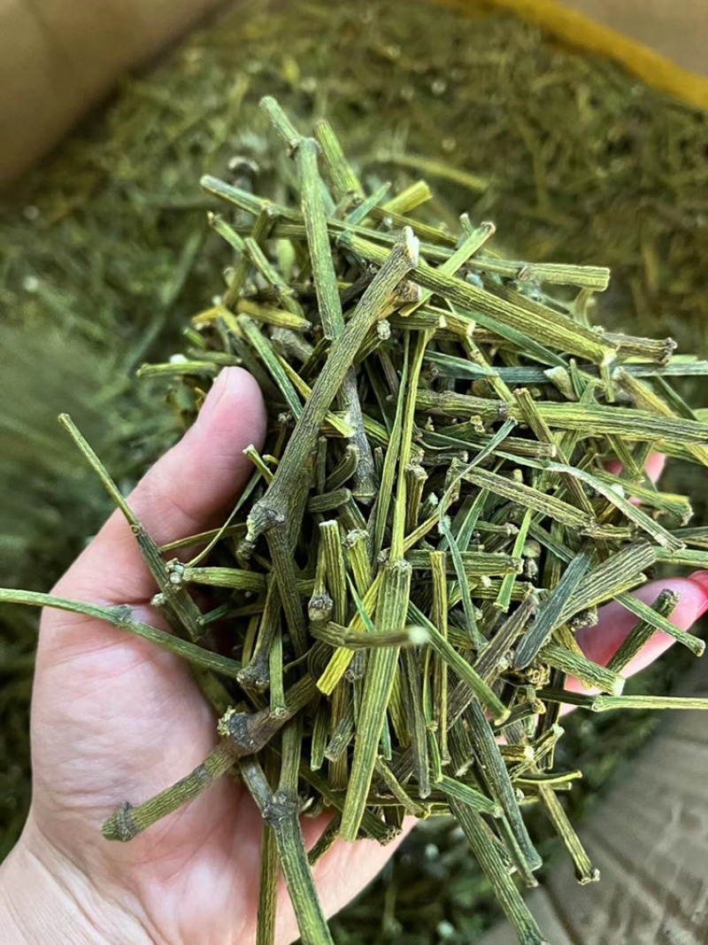 螃蟹脚，寄生，茶树螃蟹脚，颜色绿螃蟹脚，去根螃蟹脚