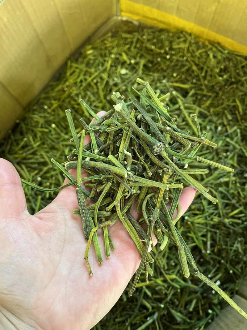 螃蟹脚，寄生，茶树螃蟹脚，颜色绿螃蟹脚，去根螃蟹脚