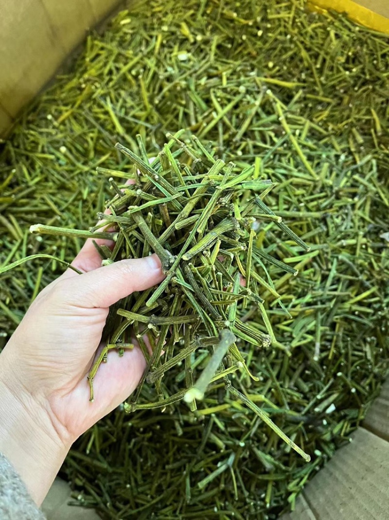 螃蟹脚，寄生，茶树螃蟹脚，颜色绿螃蟹脚，去根螃蟹脚