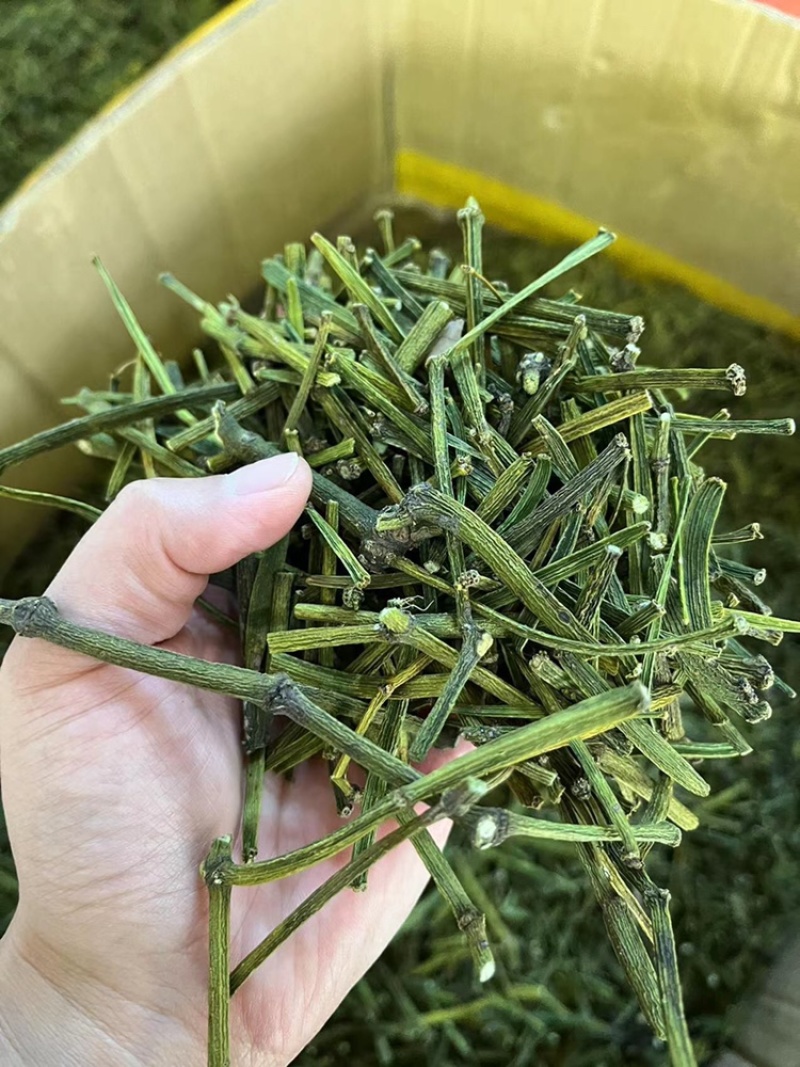 螃蟹脚，寄生，茶树螃蟹脚，颜色绿螃蟹脚，去根螃蟹脚