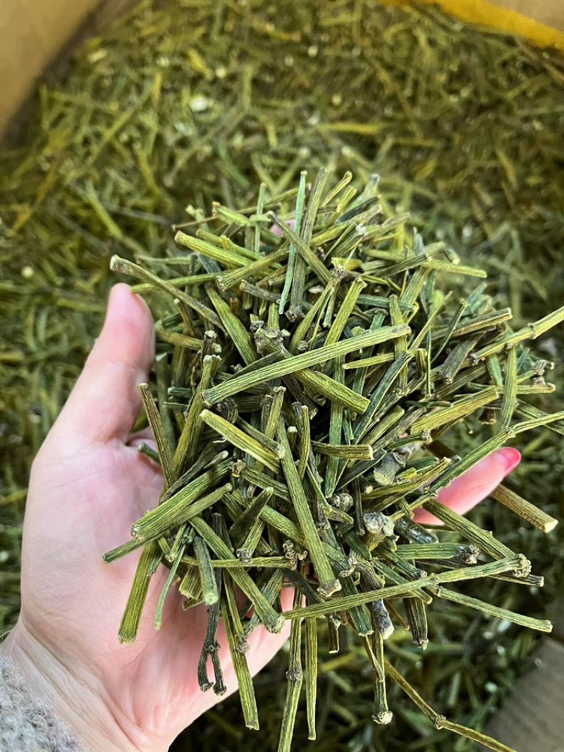 螃蟹脚，寄生，茶树螃蟹脚，颜色绿螃蟹脚，去根螃蟹脚