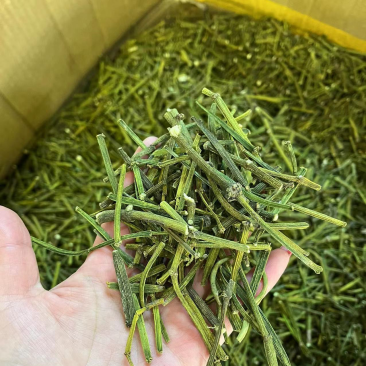 螃蟹脚，寄生，茶树螃蟹脚，颜色绿螃蟹脚，去根螃蟹脚