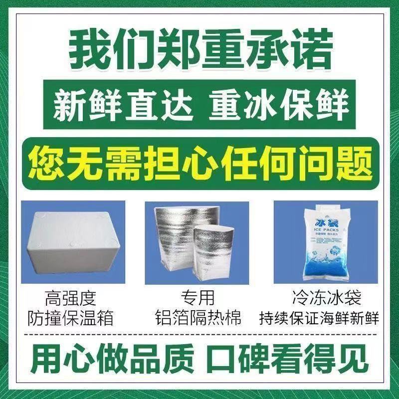 羊腿肉土羔羊肉顺丰包邮羊肉批发新鲜现宰生羊腿肉新鲜去骨羊