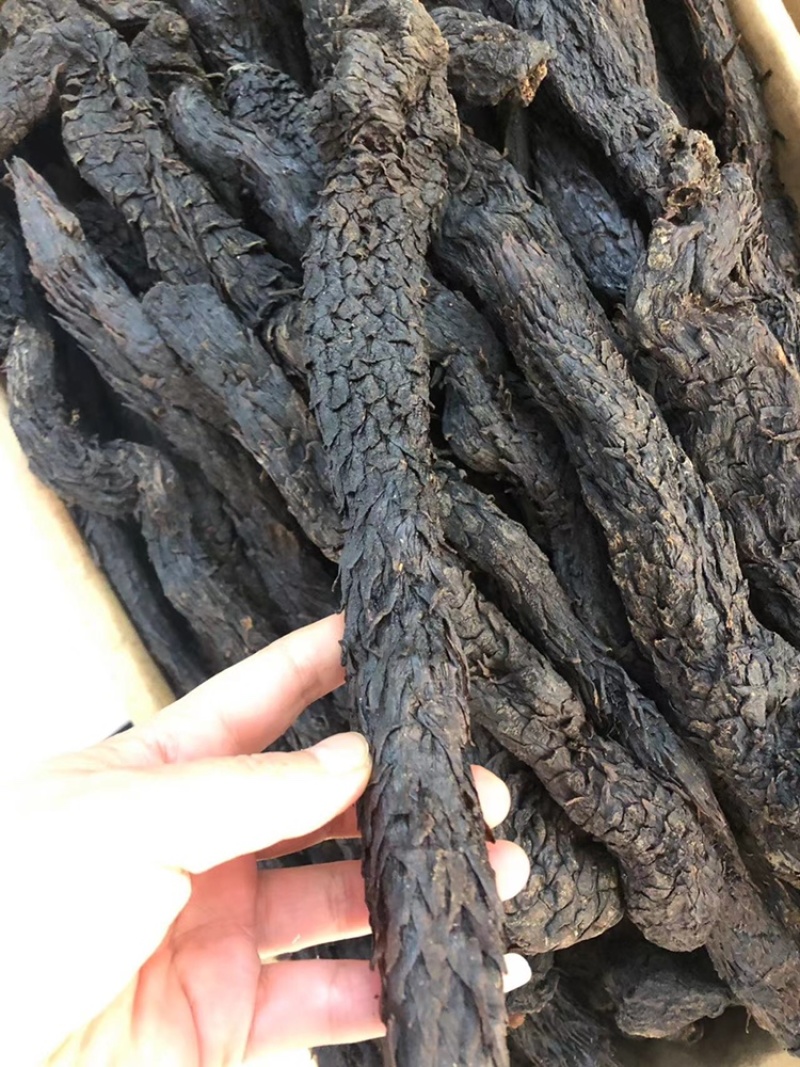 肉苁蓉，家种肉苁蓉，野生肉苁蓉。货源充足，大条肉苁蓉