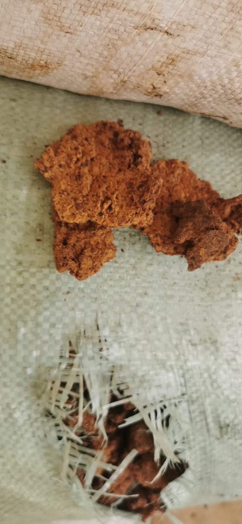 茶枯片，双螺旋部分去籽壳，含量高，干度好。22年新榨枯饼