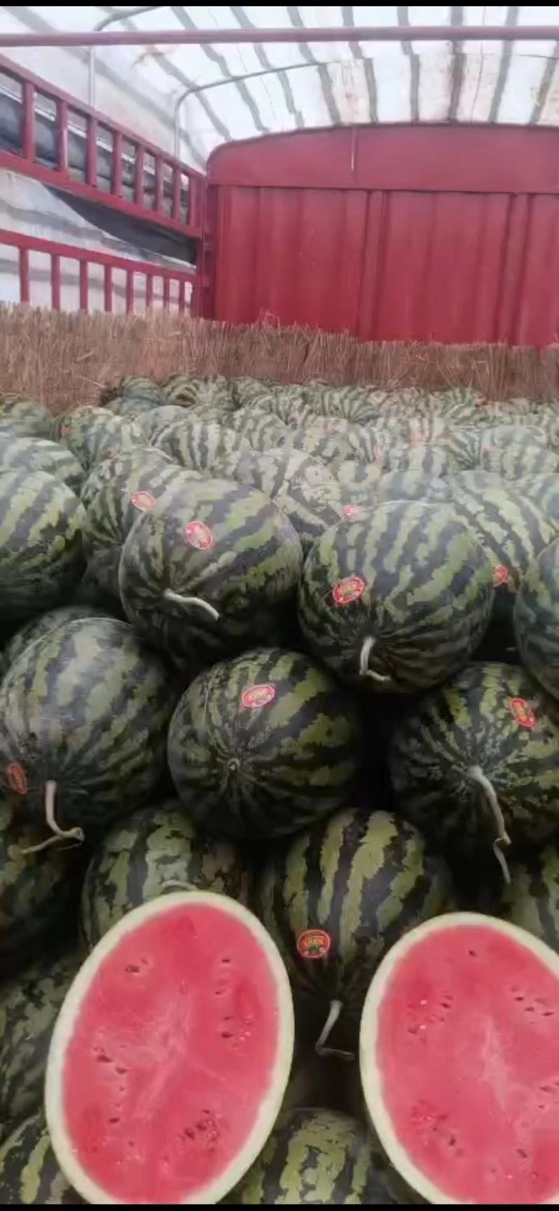 甜王西瓜基地直发产区直供量大从优欢迎咨询