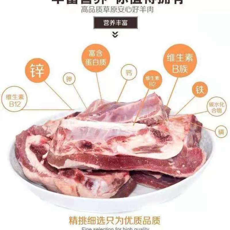 【新鲜羊排】羊排尖羊排块羊骨头小羊排羊排新鲜肋排炖羊排骨