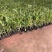 花叶姜各种规格基地大量现货供应，欢迎各位客户咨询