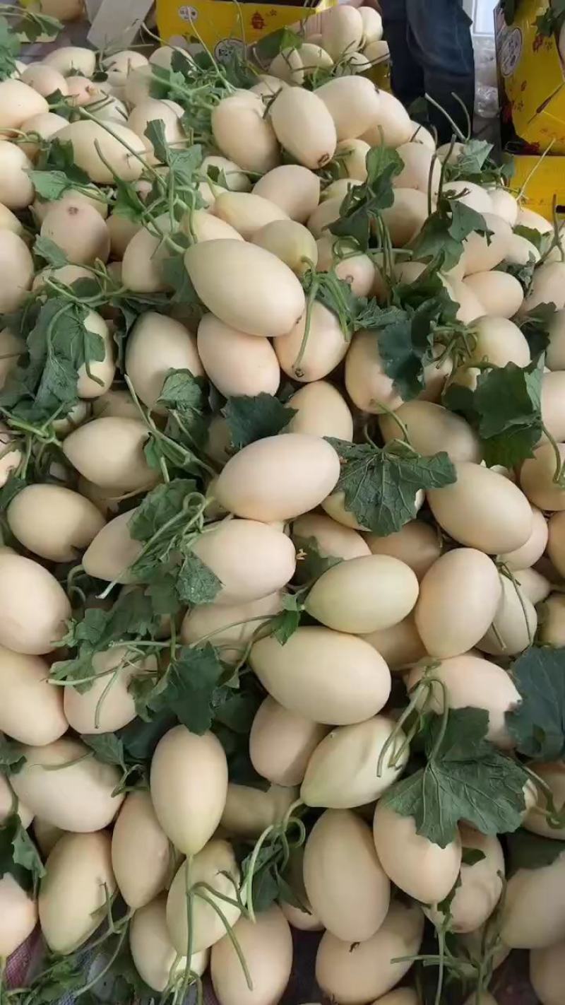 红金蜜香甜可口，产地一货源，价格美丽！！！！！！！